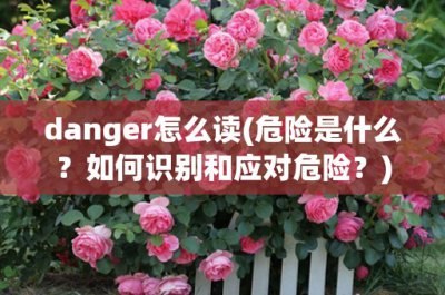 ​danger怎么读(危险是什么？如何识别和应对危险？)