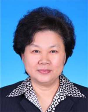 铁道部安氏家族安立敏个人简介_人物履历