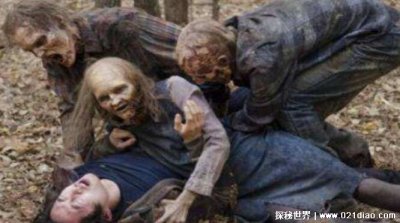 ​丧尸为什么要咬人类 编剧刻意的安排