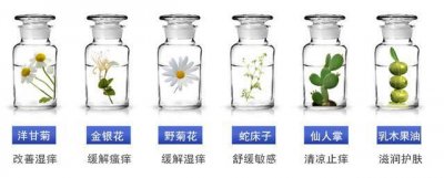 ​为什么杏璞霜价格这样，年销量都能上千万？