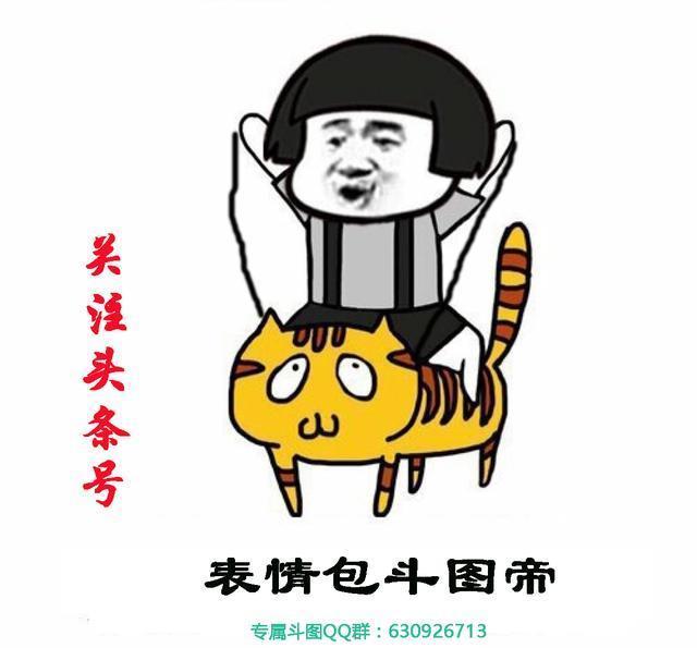 套路斗图:斗图讲究的是连贯性,一图一接