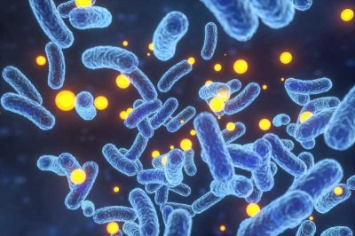 ​bpm(什么是PBM？)