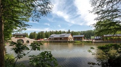 ​兴化餐饮界的‘一把手’，竟然只是做奶茶的？