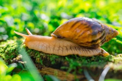 ​持之以恒的作文600字(持之以恒的作文800字高中议论文)