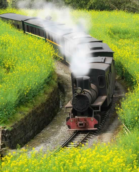 月去哪里旅游最好玩(10个四月份值得去的地方,不要辜负最美的四月天)