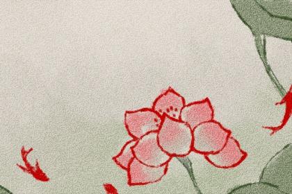 相亲有真爱吗? 相亲有感情可言吗?