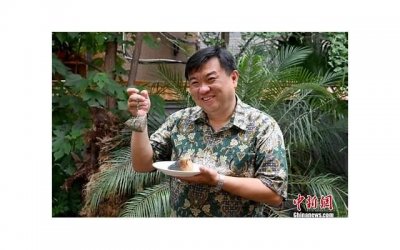 ​菊斗罗怎么死的（菊斗罗是黑影大BOSS）