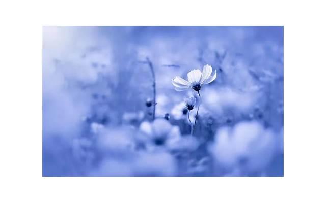 水瓶男对有好感的女生「水瓶座男生钟情于什么样的女生」 水瓶男对有好感的女生「水瓶座男生钟情于什么样的女生」