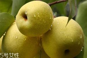 晚上吃梨子会胖吗?梨不能和开水一起吃 晚上吃梨子会胖吗?梨不能和开水一起吃