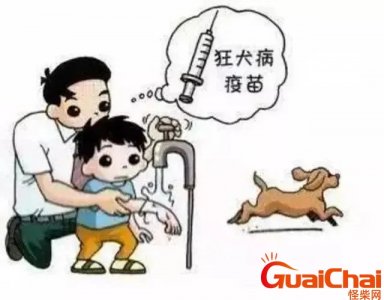 ​其实大部分人不用打狂犬疫苗狂犬症 其实大部分人不用打狂犬疫苗被猫爪