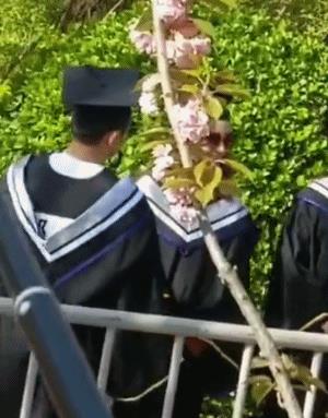 李晨录“跑男”被学士帽砸伤头部，粉丝爆粗：让傻X节目去死！