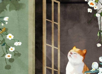 ​离婚财产怎么分割？