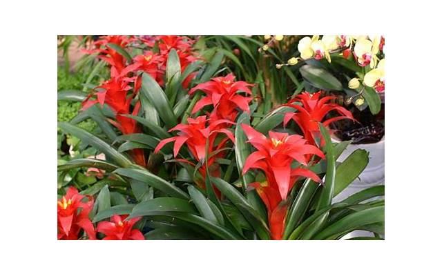 出轨觉得对不起老公怎么办,如何面对情感困境? 出轨觉得对不起老公怎么办,如何面对情感困境?