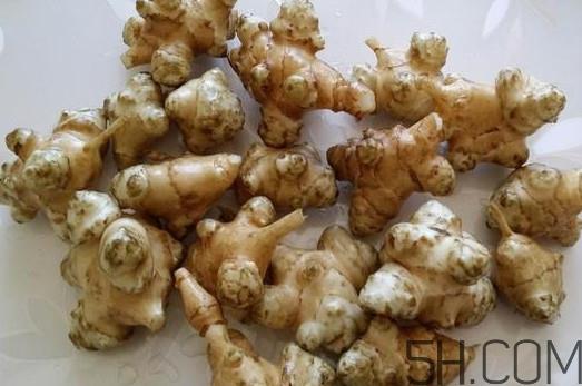 洋姜是什么时候成熟？洋姜是发物吗