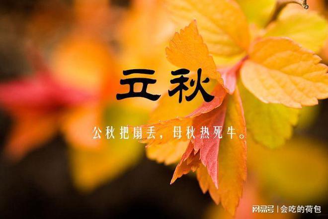 立秋有什么说法(立秋的说法有什么)