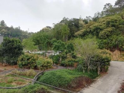 ​婆婆一有点不舒服就要说，心里有点不太舒服