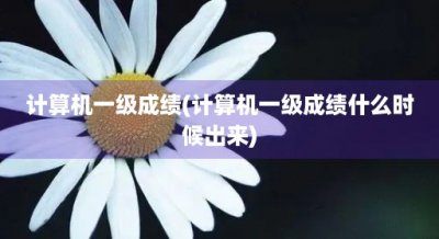 ​计算机一级成绩(计算机一级成绩什么时候出来)