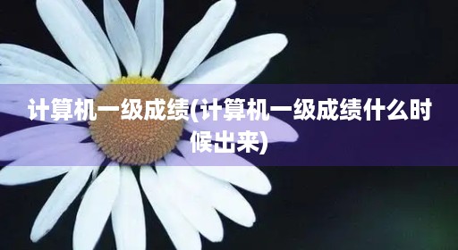 计算机一级成绩(计算机一级成绩什么时候出来)