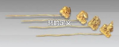 ​簪的定义