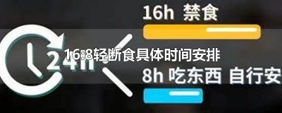 ​16:8轻断食具体时间安排