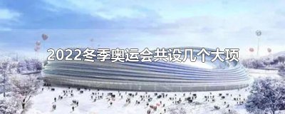 ​2025冬季奥运会共设几个大项
