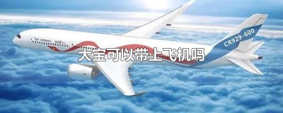 ​大宝可以带上飞机吗