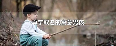 ​卓字取名的寓意男孩