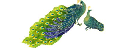 ​两只脚的动物