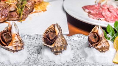 ​海螺下面是黄还是屎