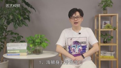 ​海狮和海豹的区别是什么