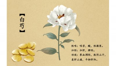 ​三白茶的功效和作用