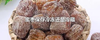 ​蜜枣保存冷冻还是冷藏