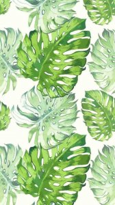 ​护眼手机屏保｜壁纸-绿色系（2）