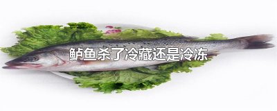 ​鲈鱼杀了冷藏还是冷冻