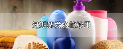 ​过期洗发水的妙用