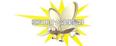 ​驱蚊用什么效果最好