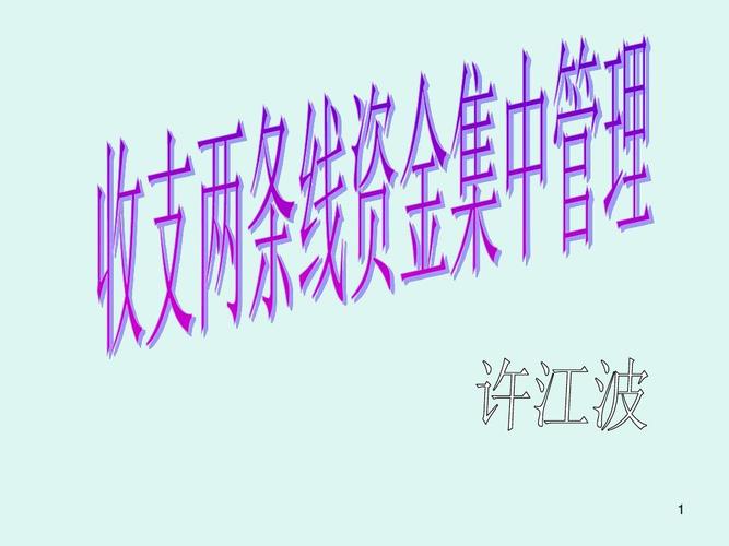 收支两条线是指什么（收支两条线简述）