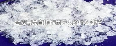 ​合成毒品直接作用于人的什么部位
