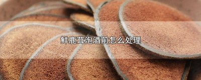 ​新鲜的鹿茸怎么处理干净泡酒 生鹿茸怎么处理后泡酒