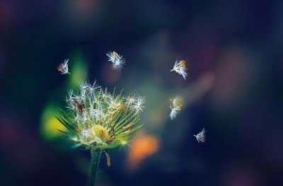 ​好听的情侣网名诗句好听的情侣网名古风四字