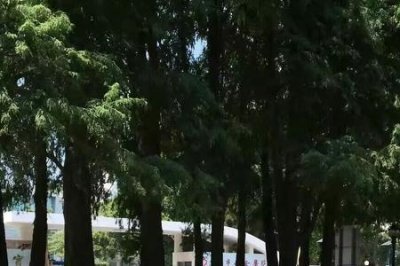 ​东莞长安好玩的地方