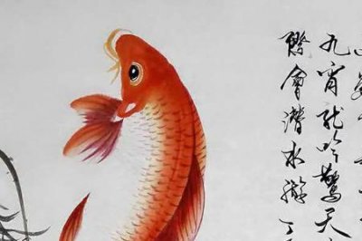 ​金鳞岂是中池物百科