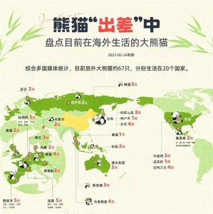 ​作为我国最可爱的外交官!大熊猫至今为止出国外交的有几只？