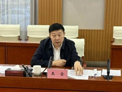 ​王金，主动投案