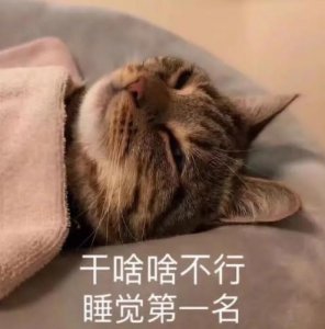 ​20张表情包，收藏一下，和你朋友斗图吧