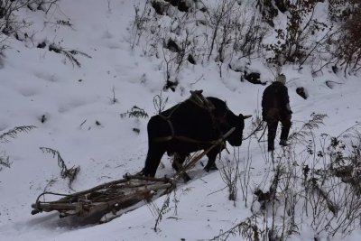 ​中国雪村·水墨松岭，是个有故事的北国小村庄！