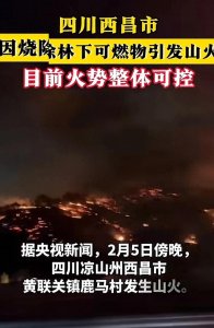 ​紧急！四川西昌市山火肆虐，局势危急！