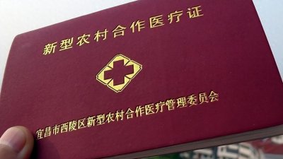 ​必看！不交2024新农合费用的震撼后果，让你大吃一惊！