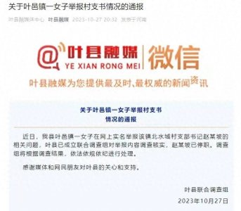 ​平顶山市叶县通报“女子举报村支书”：成立联合调查组。