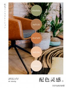 ​色彩灵感|万能色卡，高级感莫兰迪神仙配色